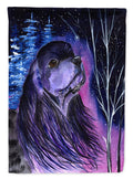 Starry Night Cocker Spaniel House Flag 28x40 Porch Sleeve Pole Decorative Outside Yard Banner Artwork Wall Hanging, Polyester