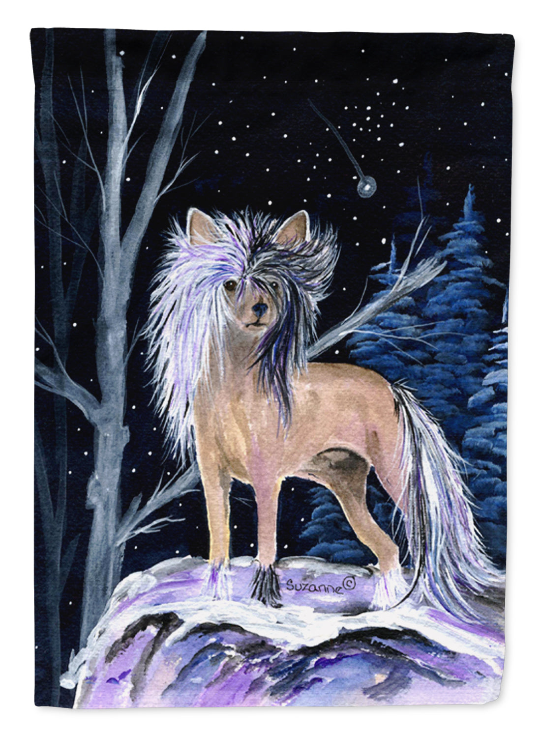 Starry Night Chinese Crested House Flag 28x40 Porch Sleeve Pole Decorative Outside Yard Banner Artwork Wall Hanging, Polyester