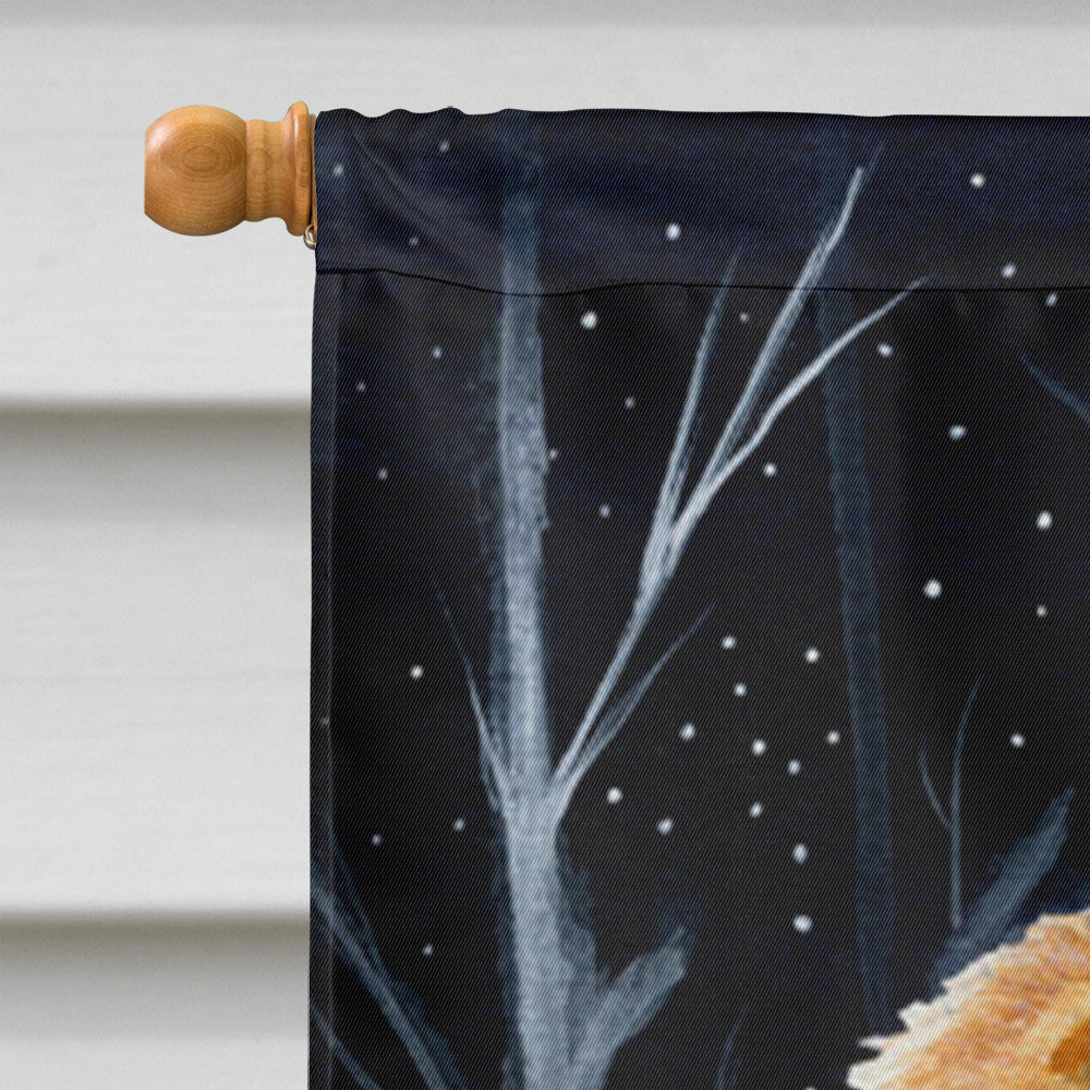 Starry Night Pomeranian House Flag 28x40 Porch Sleeve Pole Decorative Outside Yard Banner Artwork Wall Hanging, Polyester