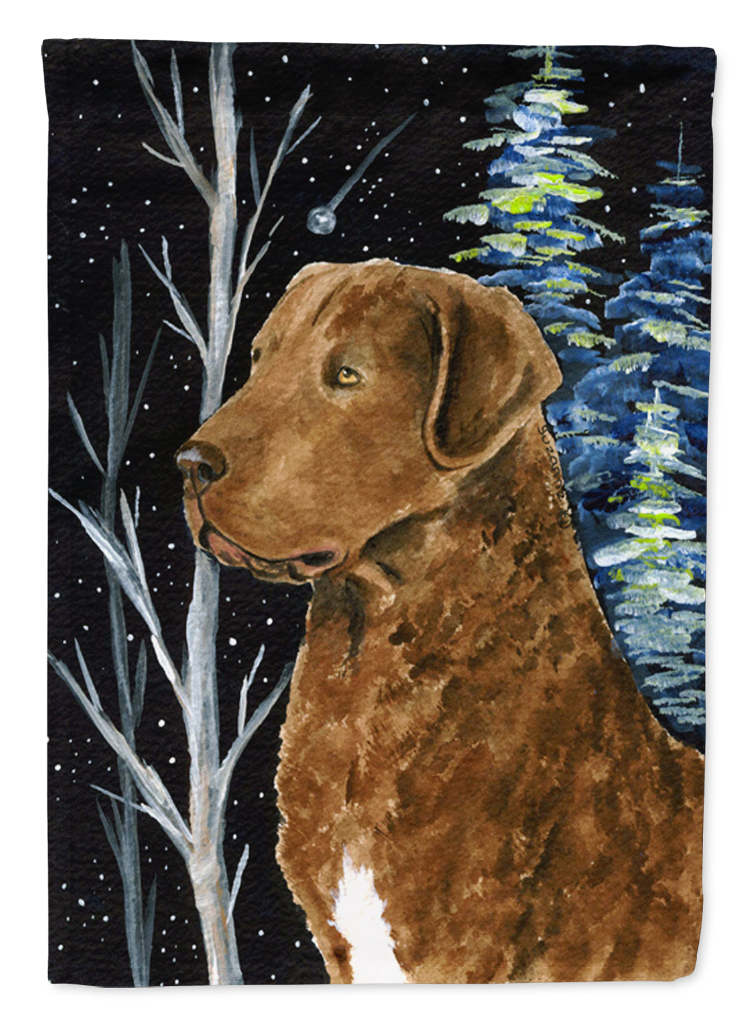 Starry Night Chesapeake Bay Retriever House Flag 28x40 Porch Sleeve Pole Decorative Outside Yard Banner Artwork Wall Hanging, Polyester