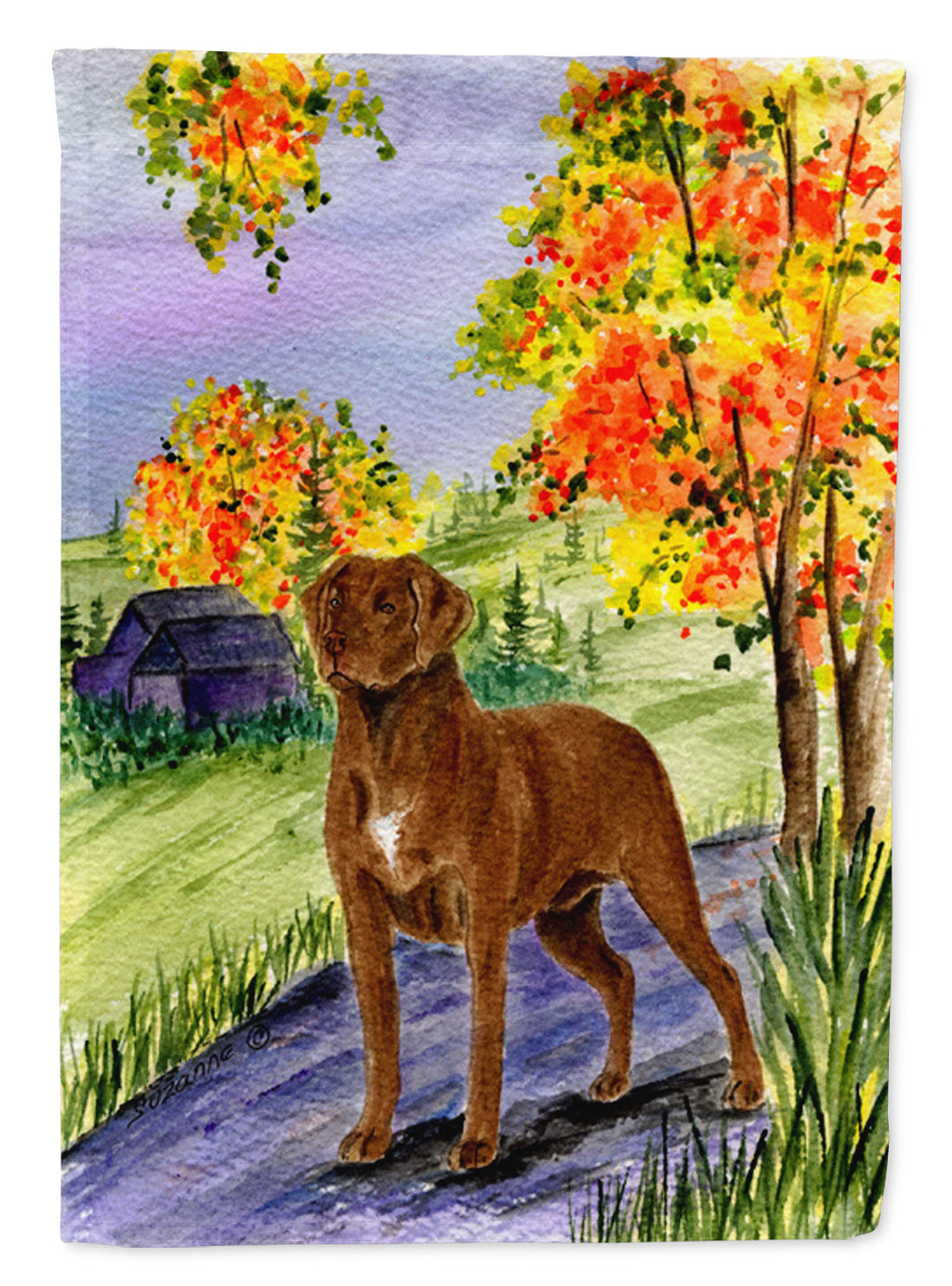 Chesapeake Bay Retriever House Flag 28x40 Porch Sleeve Pole Decorative Outside Yard Banner Artwork Wall Hanging, Polyester