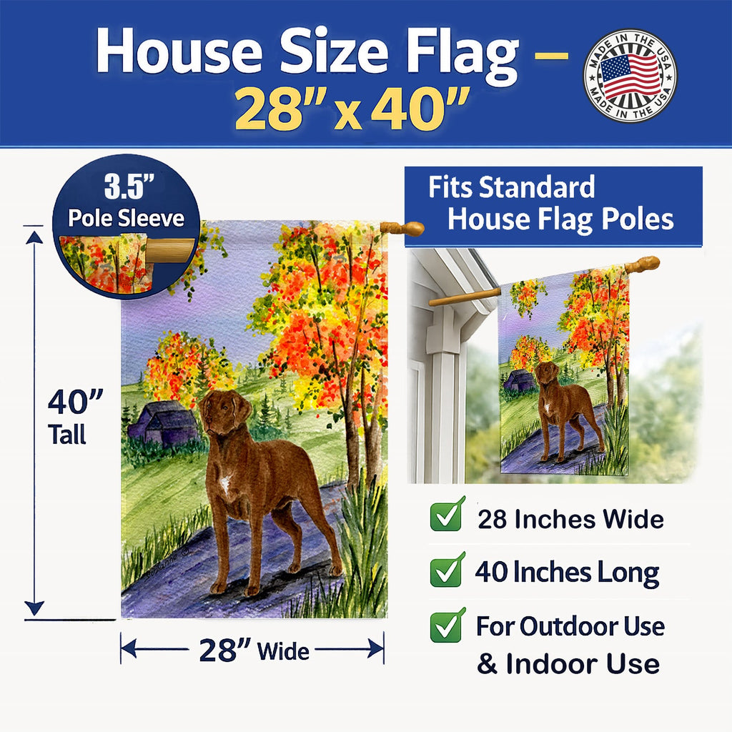 Chesapeake Bay Retriever House Flag 28x40 Porch Sleeve Pole Decorative Outside Yard Banner Artwork Wall Hanging, Polyester