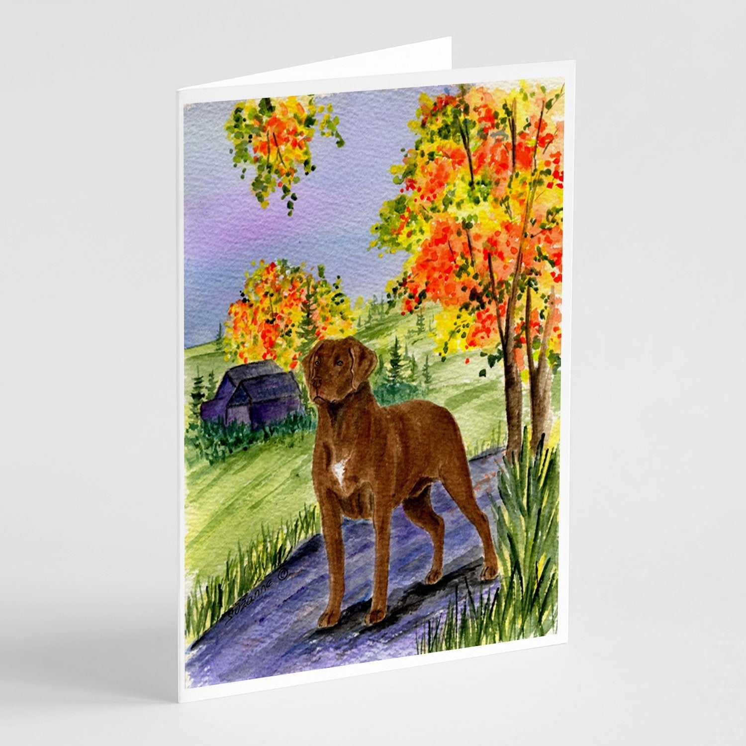 Chesapeake Bay Retriever Greeting Cards Pack of 8 Blank Cards with Envelopes Whimsical A7 Size 5x7