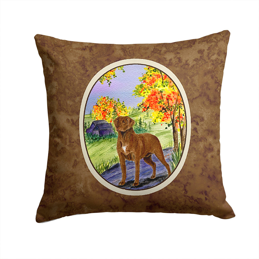 Chesapeake Bay Retriever Decorative Throw Pillow 14x14 Indoor Outdoor Accent Cushion, Fabric Cover with Insert for Sofa, Bed, Porch & Living Room