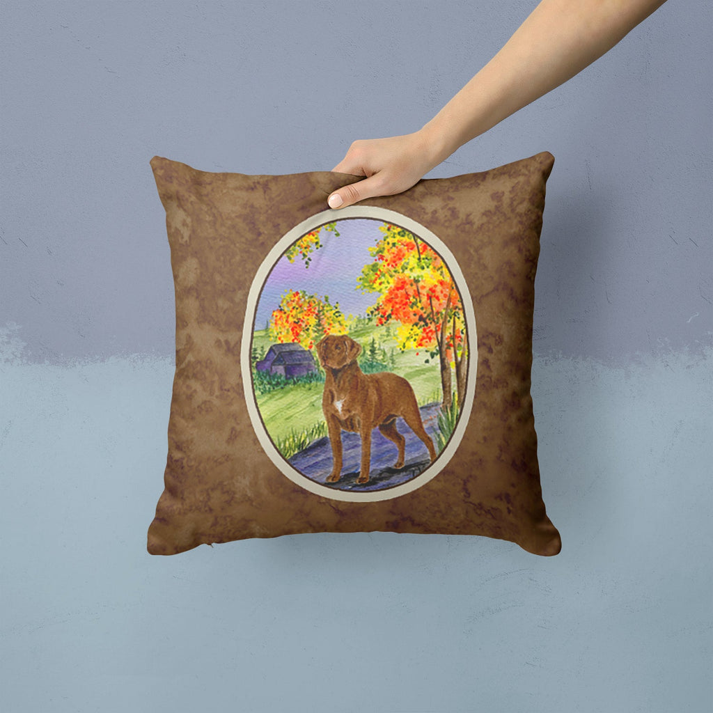 Chesapeake Bay Retriever Decorative Throw Pillow 14x14 Indoor Outdoor Accent Cushion, Fabric Cover with Insert for Sofa, Bed, Porch & Living Room
