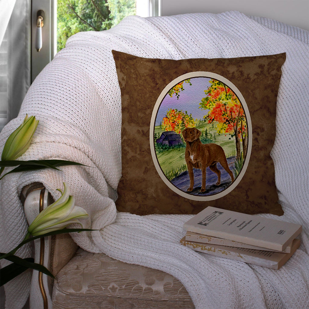 Chesapeake Bay Retriever Decorative Throw Pillow 14x14 Indoor Outdoor Accent Cushion, Fabric Cover with Insert for Sofa, Bed, Porch & Living Room