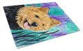 Norwich Terrier Cutting Board Tempered Glass Kitchen Cutting Surface, Heat Resistant Chopping, Non-Slip Feet, Food Prep & Serving