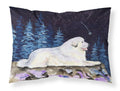 Starry Night Great Pyrenees Standard Pillowcase Lightweight Super Soft Easy Care Decorative Artwork Pillowcase, Standard