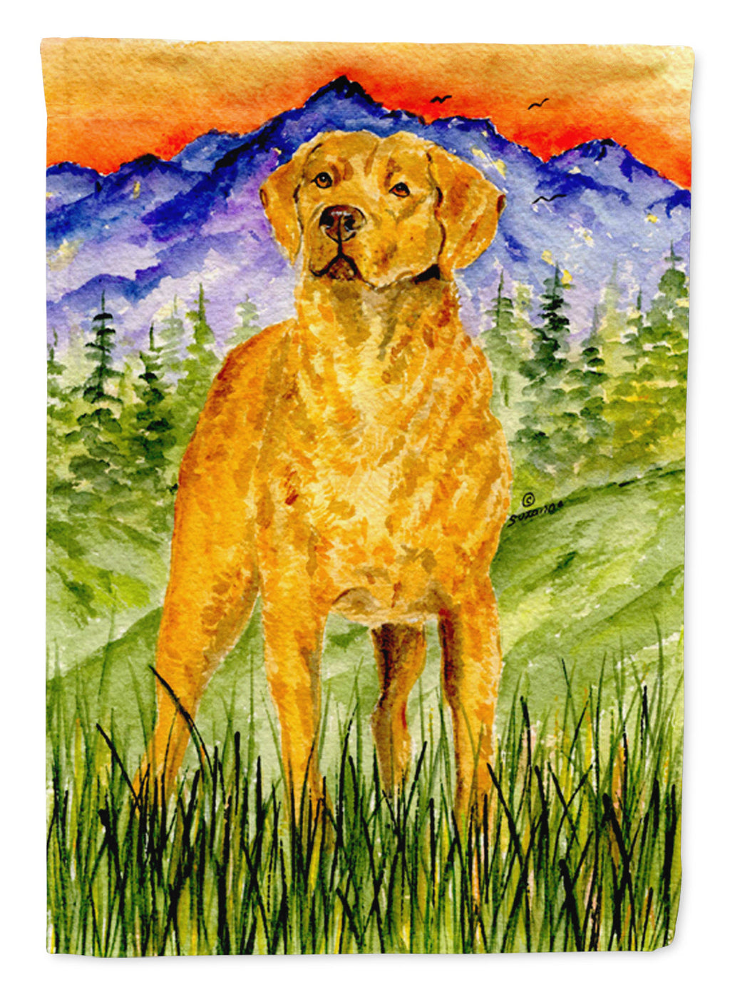 Chesapeake Bay Retriever House Flag 28x40 Porch Sleeve Pole Decorative Outside Yard Banner Artwork Wall Hanging, Polyester
