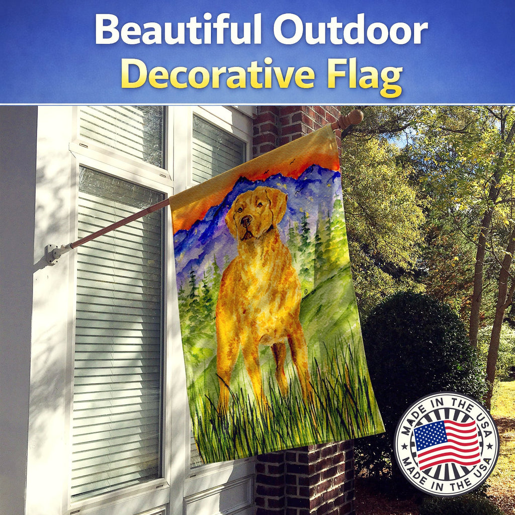 Chesapeake Bay Retriever House Flag 28x40 Porch Sleeve Pole Decorative Outside Yard Banner Artwork Wall Hanging, Polyester