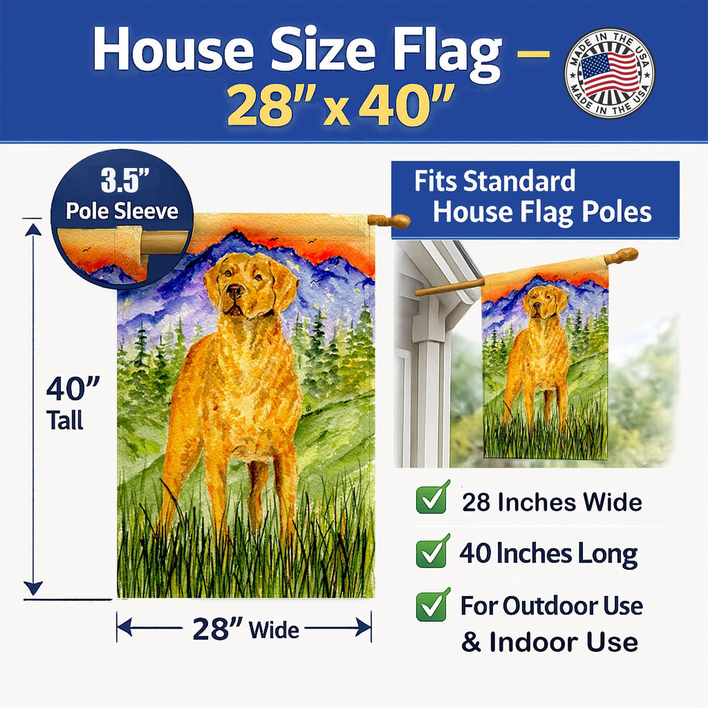 Chesapeake Bay Retriever House Flag 28x40 Porch Sleeve Pole Decorative Outside Yard Banner Artwork Wall Hanging, Polyester