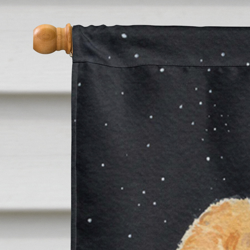 Starry Night Chow Chow House Flag 28x40 Porch Sleeve Pole Decorative Outside Yard Banner Artwork Wall Hanging, Polyester