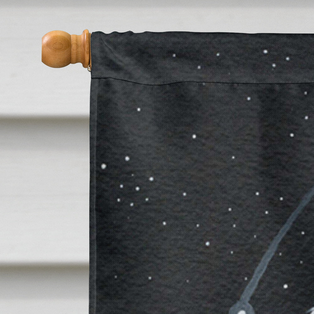 Starry Night Maltese House Flag 28x40 Porch Sleeve Pole Decorative Outside Yard Banner Artwork Wall Hanging, Polyester