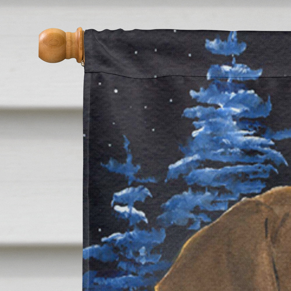 Starry Night Doberman House Flag 28x40 Porch Sleeve Pole Decorative Outside Yard Banner Artwork Wall Hanging, Polyester