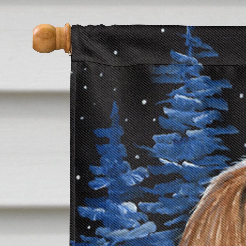Starry Night Bearded Collie House Flag 28x40 Porch Sleeve Pole Decorative Outside Yard Banner Artwork Wall Hanging, Polyester