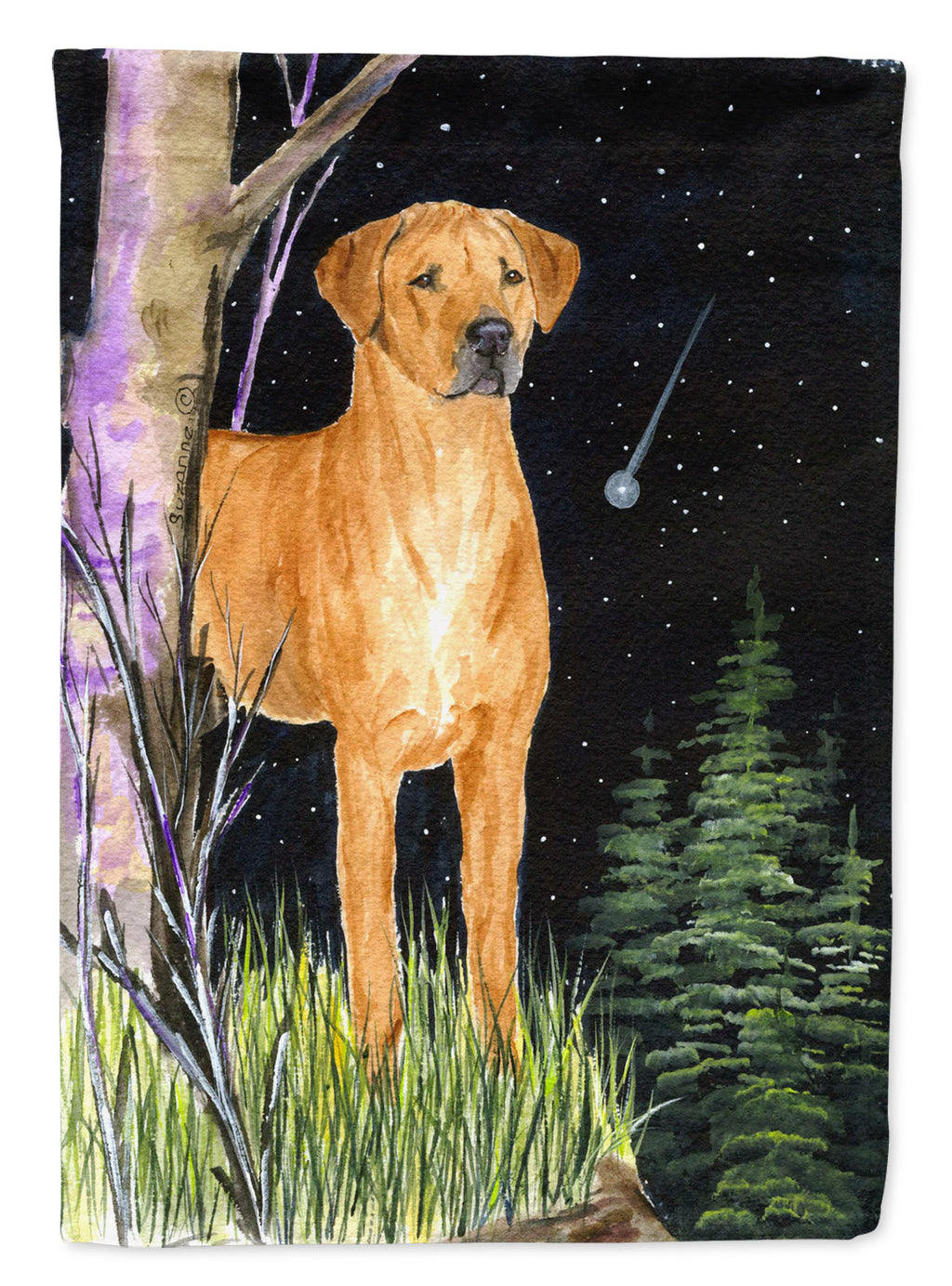 Starry Night Rhodesian Ridgeback House Flag 28x40 Porch Sleeve Pole Decorative Outside Yard Banner Artwork Wall Hanging, Polyester