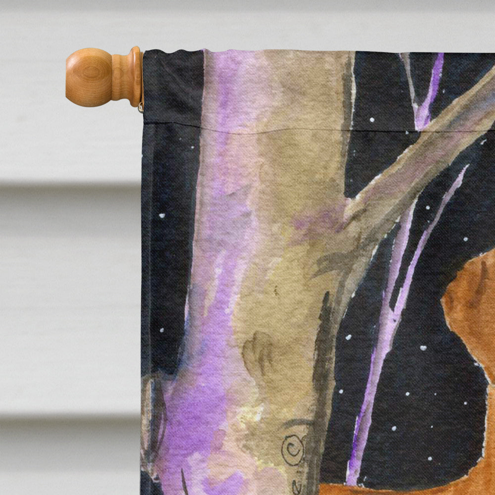 Starry Night Rhodesian Ridgeback House Flag 28x40 Porch Sleeve Pole Decorative Outside Yard Banner Artwork Wall Hanging, Polyester