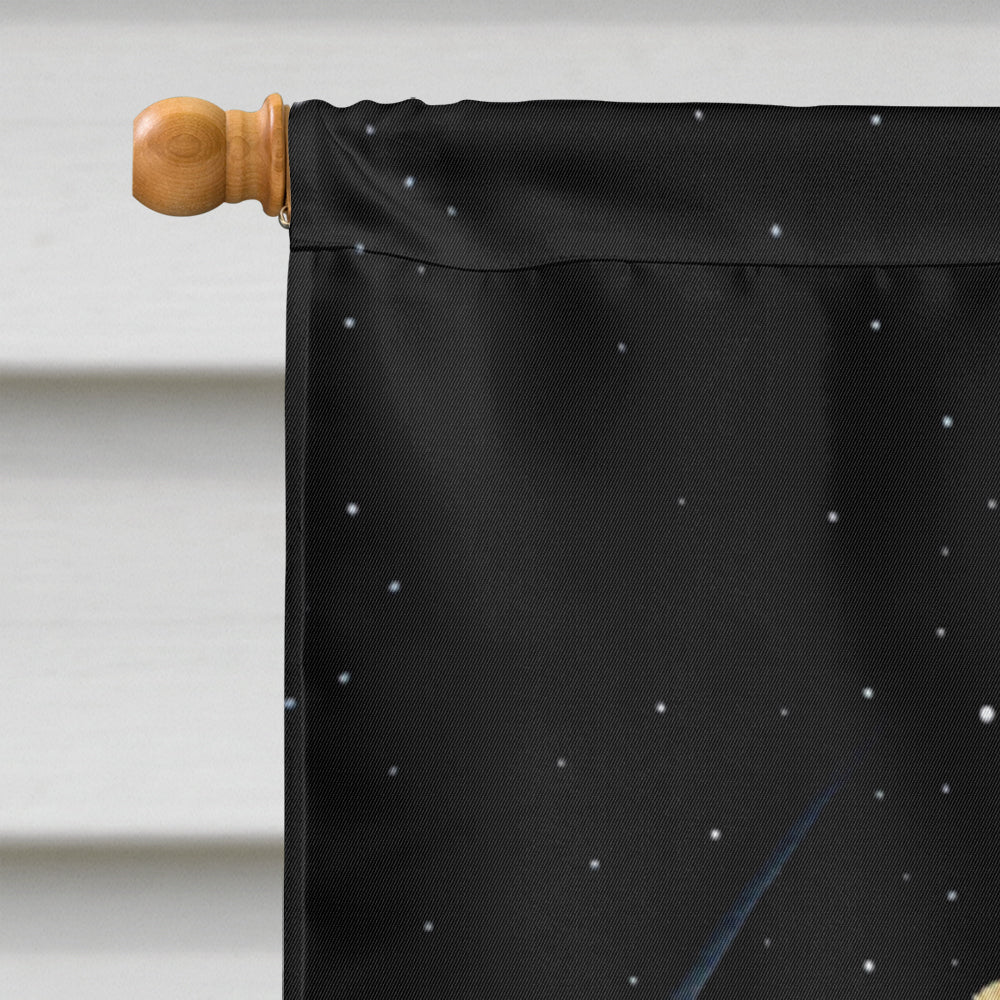 Starry Night Pomeranian House Flag 28x40 Porch Sleeve Pole Decorative Outside Yard Banner Artwork Wall Hanging, Polyester
