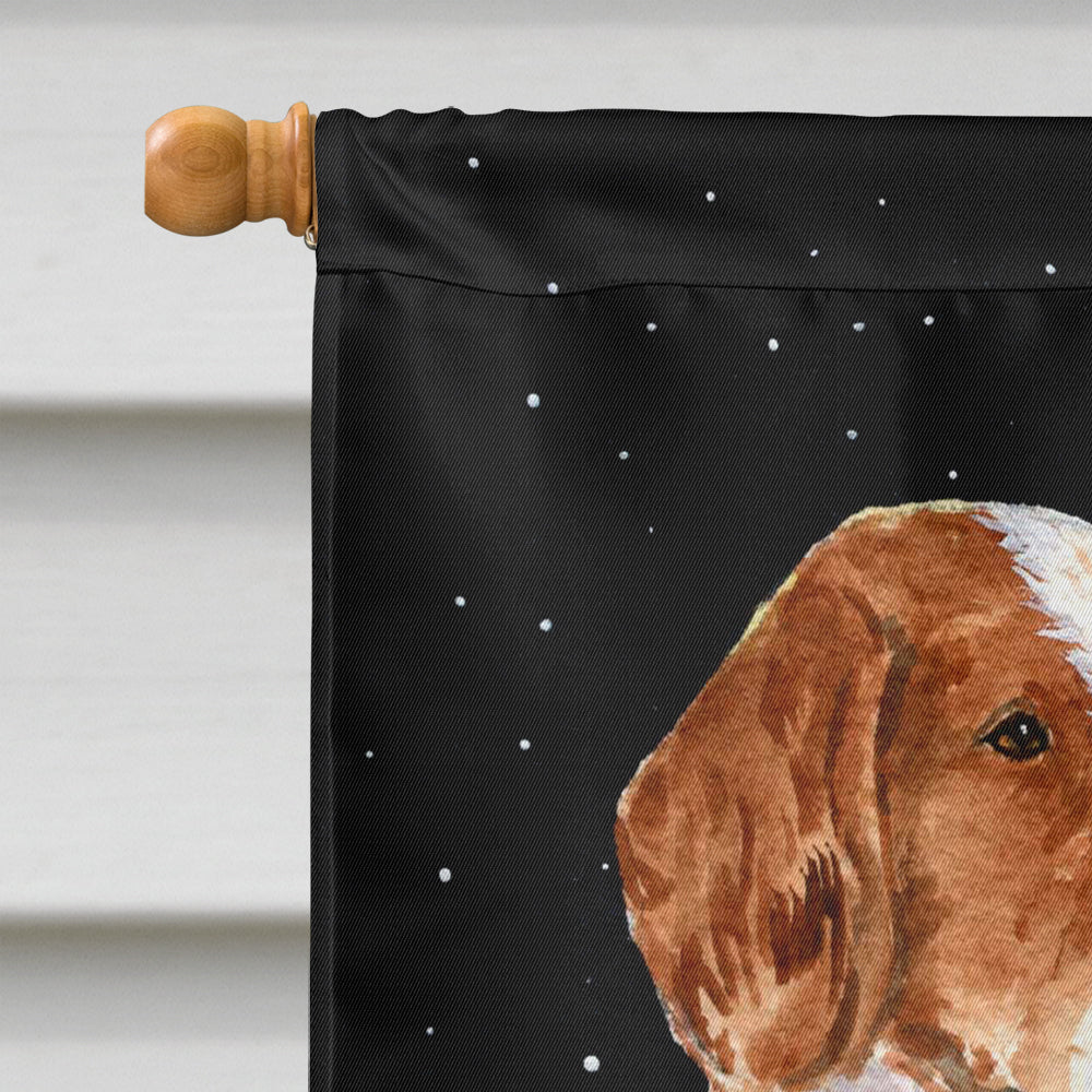 Starry Night Welsh Springer Spaniel House Flag 28x40 Porch Sleeve Pole Decorative Outside Yard Banner Artwork Wall Hanging, Polyester