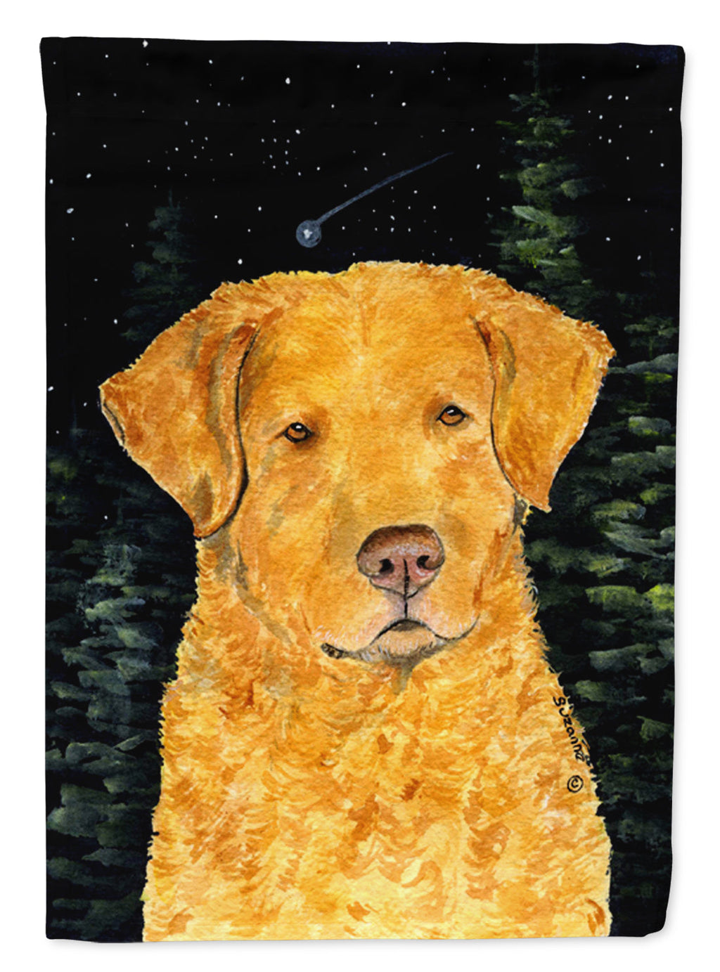 Starry Night Chesapeake Bay Retriever House Flag 28x40 Porch Sleeve Pole Decorative Outside Yard Banner Artwork Wall Hanging, Polyester