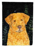 Starry Night Chesapeake Bay Retriever House Flag 28x40 Porch Sleeve Pole Decorative Outside Yard Banner Artwork Wall Hanging, Polyester