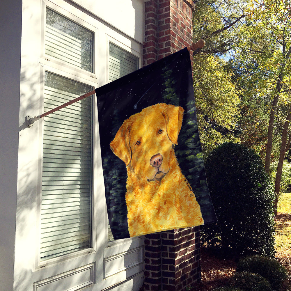Starry Night Chesapeake Bay Retriever House Flag 28x40 Porch Sleeve Pole Decorative Outside Yard Banner Artwork Wall Hanging, Polyester