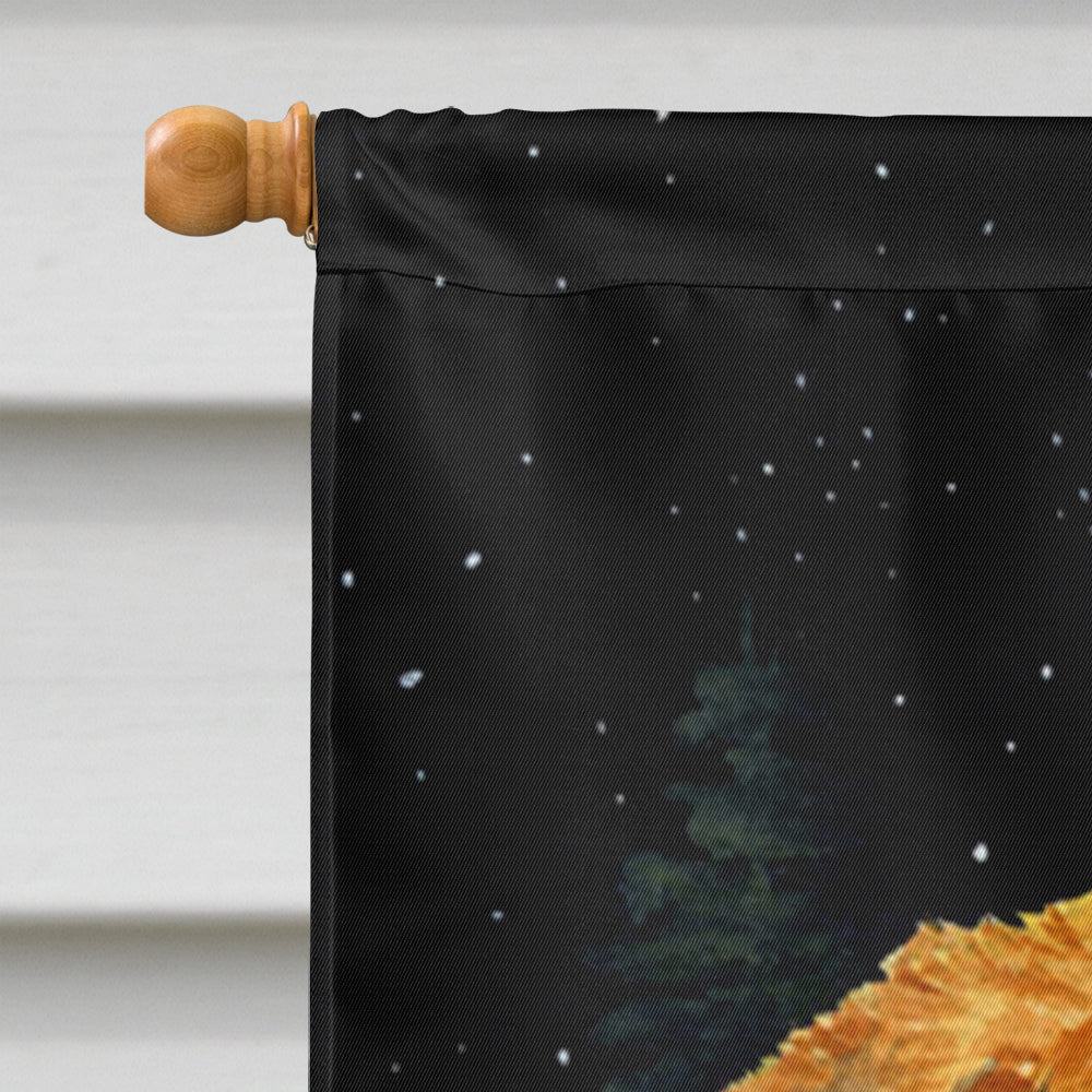 Starry Night Chesapeake Bay Retriever House Flag 28x40 Porch Sleeve Pole Decorative Outside Yard Banner Artwork Wall Hanging, Polyester