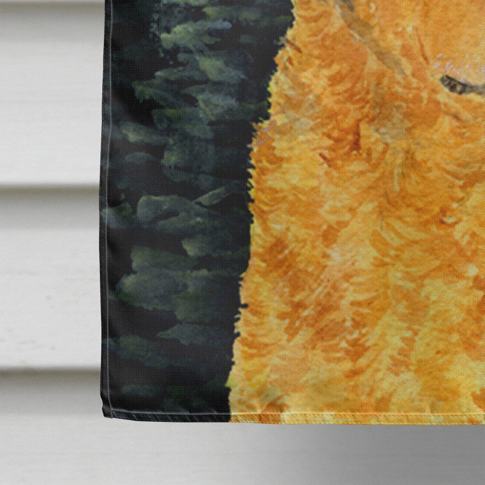 Starry Night Chesapeake Bay Retriever House Flag 28x40 Porch Sleeve Pole Decorative Outside Yard Banner Artwork Wall Hanging, Polyester