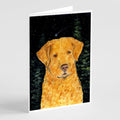 Starry Night Chesapeake Bay Retriever Greeting Cards Pack of 8 Blank Cards with Envelopes Whimsical A7 Size 5x7