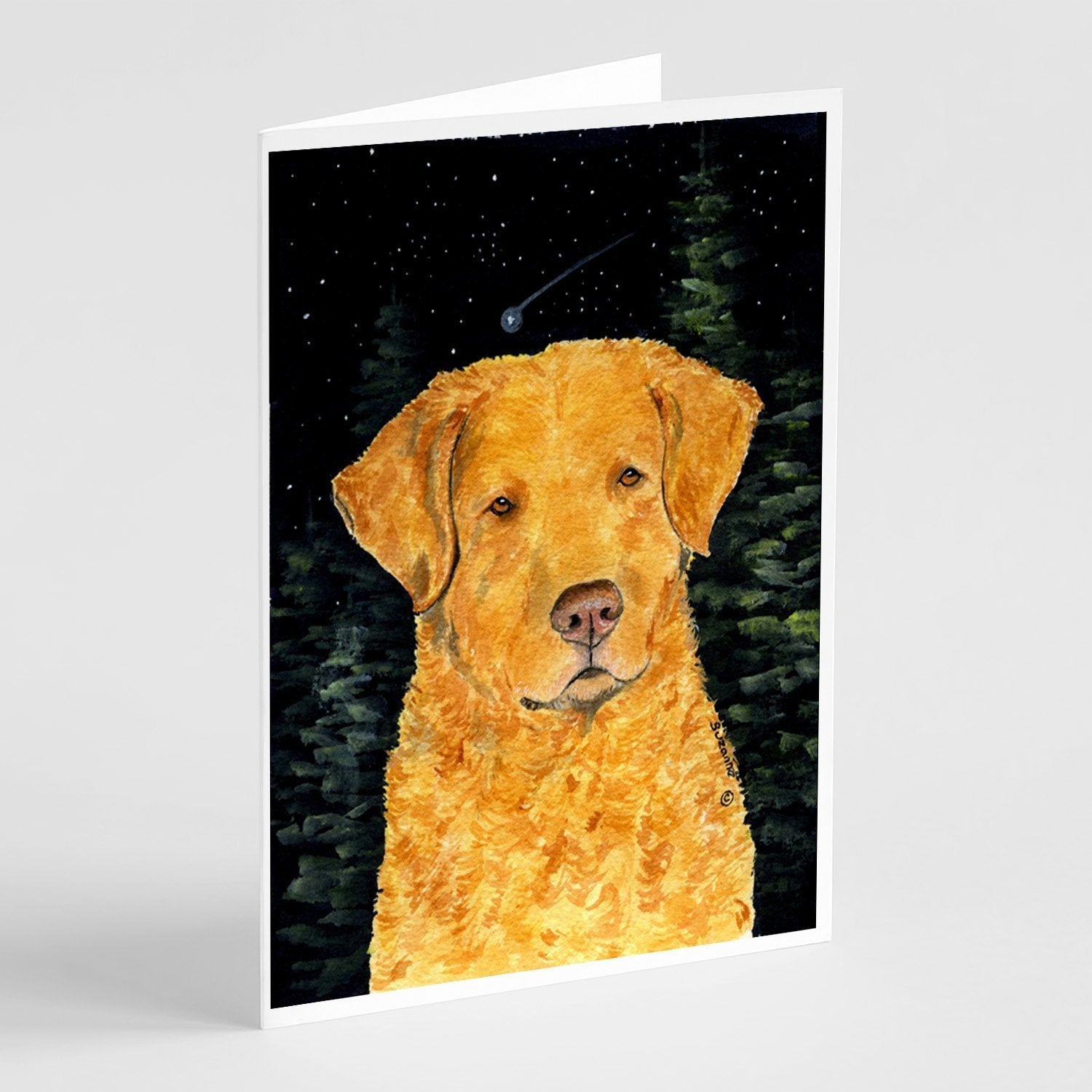Starry Night Chesapeake Bay Retriever Greeting Cards Pack of 8 Blank Cards with Envelopes Whimsical A7 Size 5x7