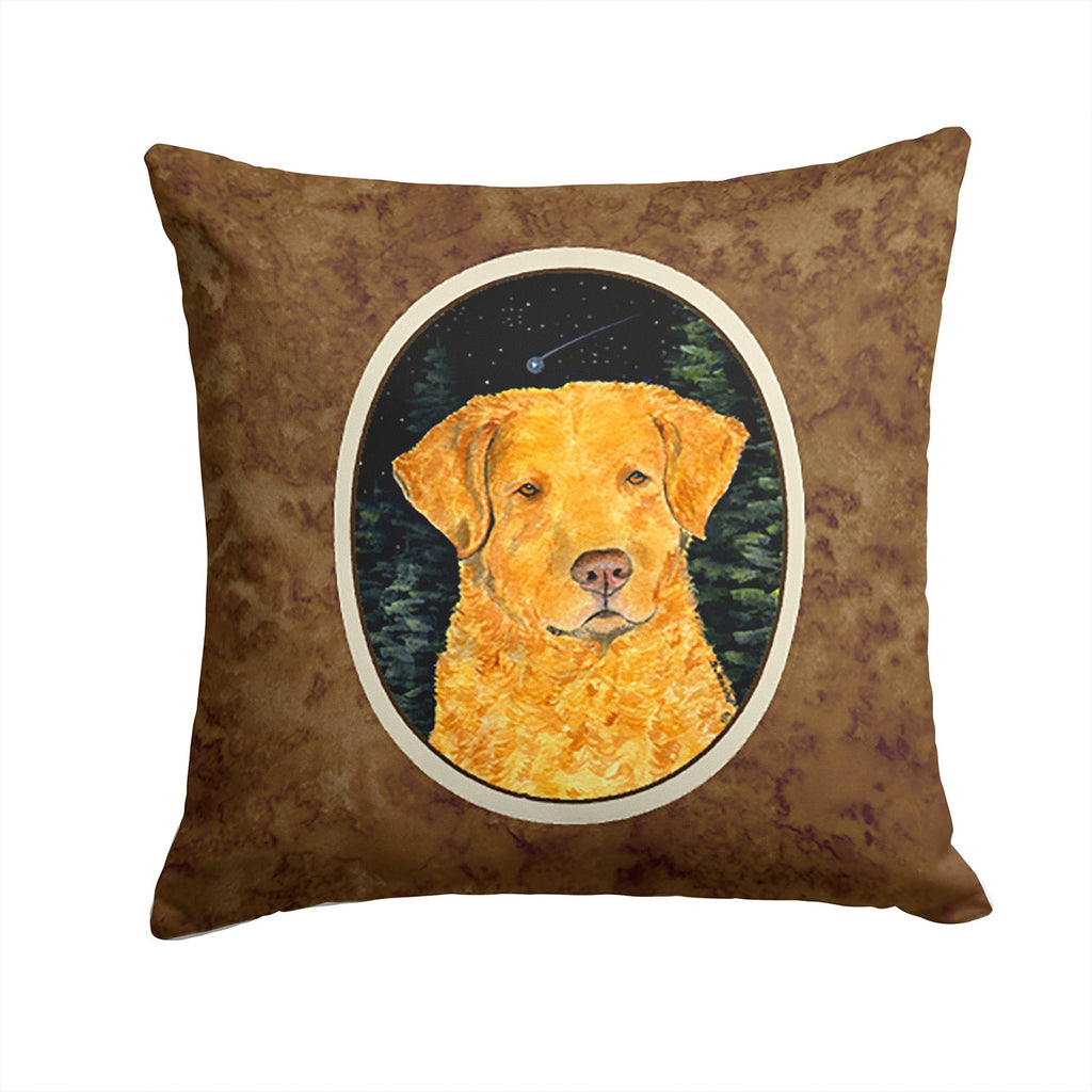 Starry Night Chesapeake Bay Retriever Decorative Throw Pillow 14x14 Indoor Outdoor Accent Cushion, Fabric Cover with Insert for Sofa, Bed, Porch & Living Room