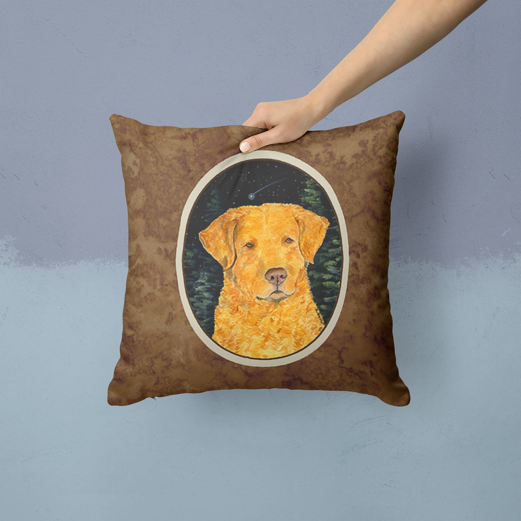Starry Night Chesapeake Bay Retriever Decorative Throw Pillow 14x14 Indoor Outdoor Accent Cushion, Fabric Cover with Insert for Sofa, Bed, Porch & Living Room