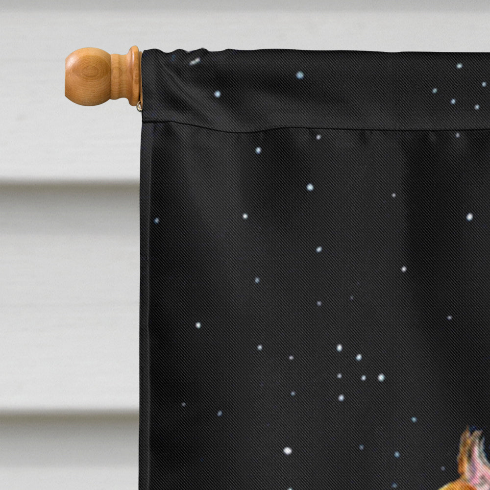 Starry Night Boxer House Flag 28x40 Porch Sleeve Pole Decorative Outside Yard Banner Artwork Wall Hanging, Polyester