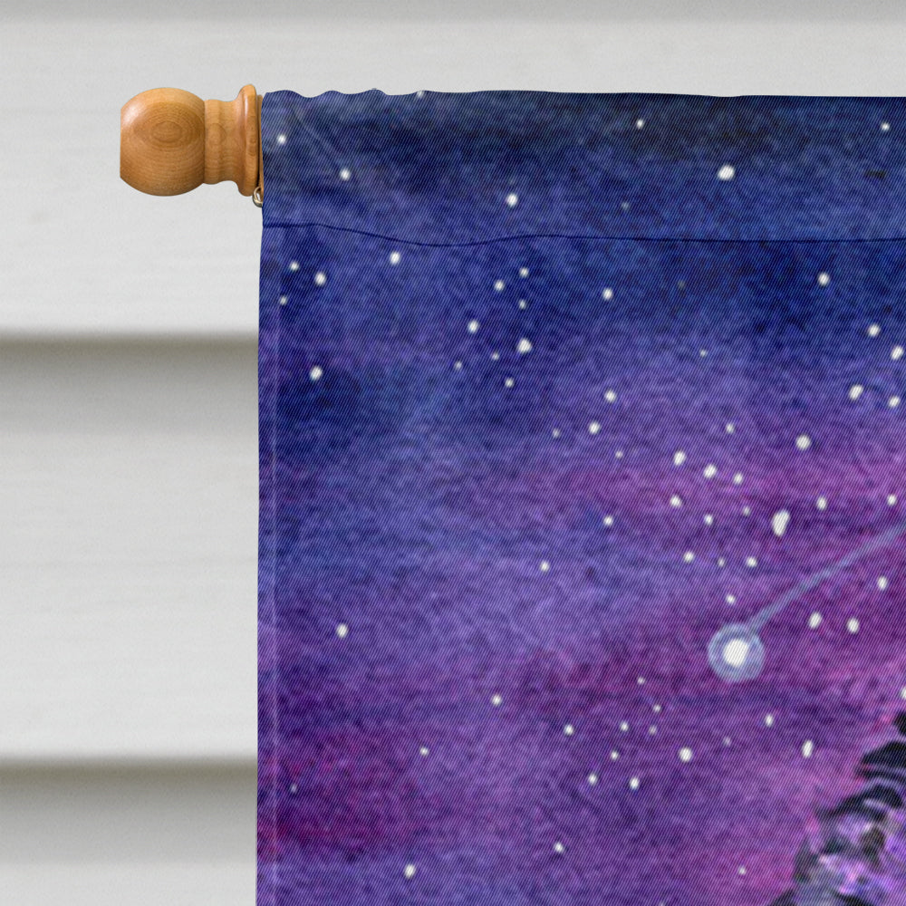 Starry Night Pomeranian House Flag 28x40 Porch Sleeve Pole Decorative Outside Yard Banner Artwork Wall Hanging, Polyester