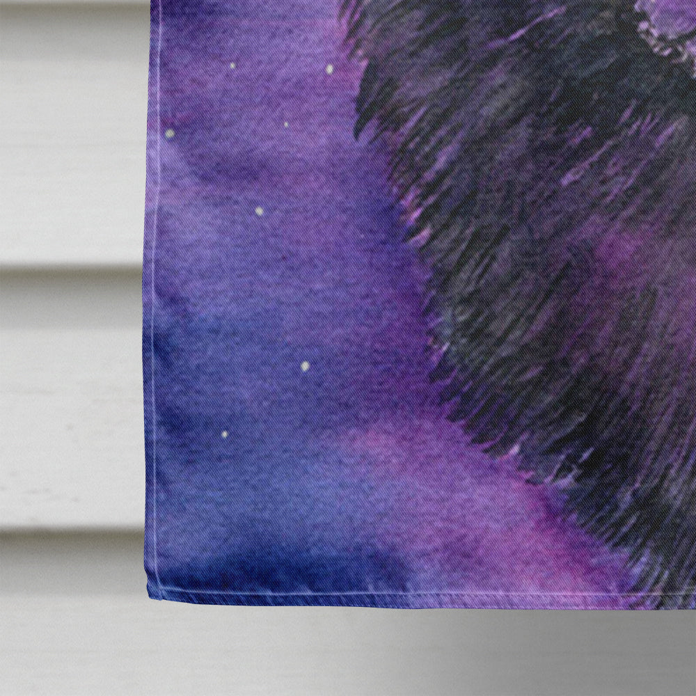 Starry Night Pomeranian House Flag 28x40 Porch Sleeve Pole Decorative Outside Yard Banner Artwork Wall Hanging, Polyester