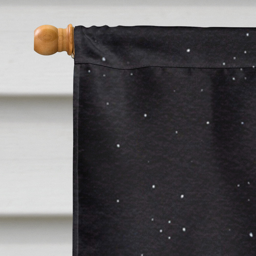 Starry Night Anatolian Shepherd House Flag 28x40 Porch Sleeve Pole Decorative Outside Yard Banner Artwork Wall Hanging, Polyester