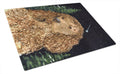 American Water Spaniel Cutting Board Tempered Glass Kitchen Cutting Surface, Heat Resistant Chopping, Non-Slip Feet, Food Prep & Serving