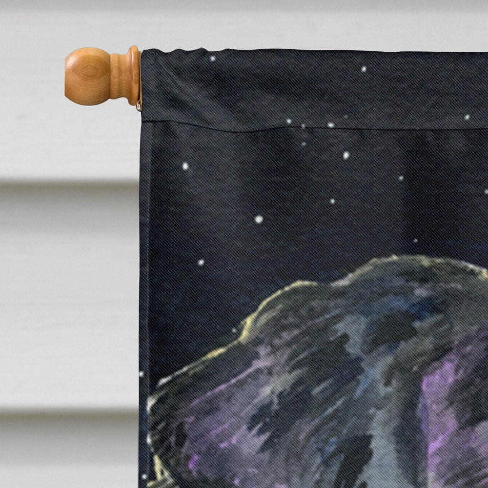 Starry Night Bernese Mountain Dog House Flag 28x40 Porch Sleeve Pole Decorative Outside Yard Banner Artwork Wall Hanging, Polyester