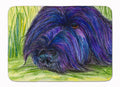 Briard Memory Foam Kitchen Mat Machine Washable Anti-Fatigue Cushion Comfort Bath or Kitchen Rug