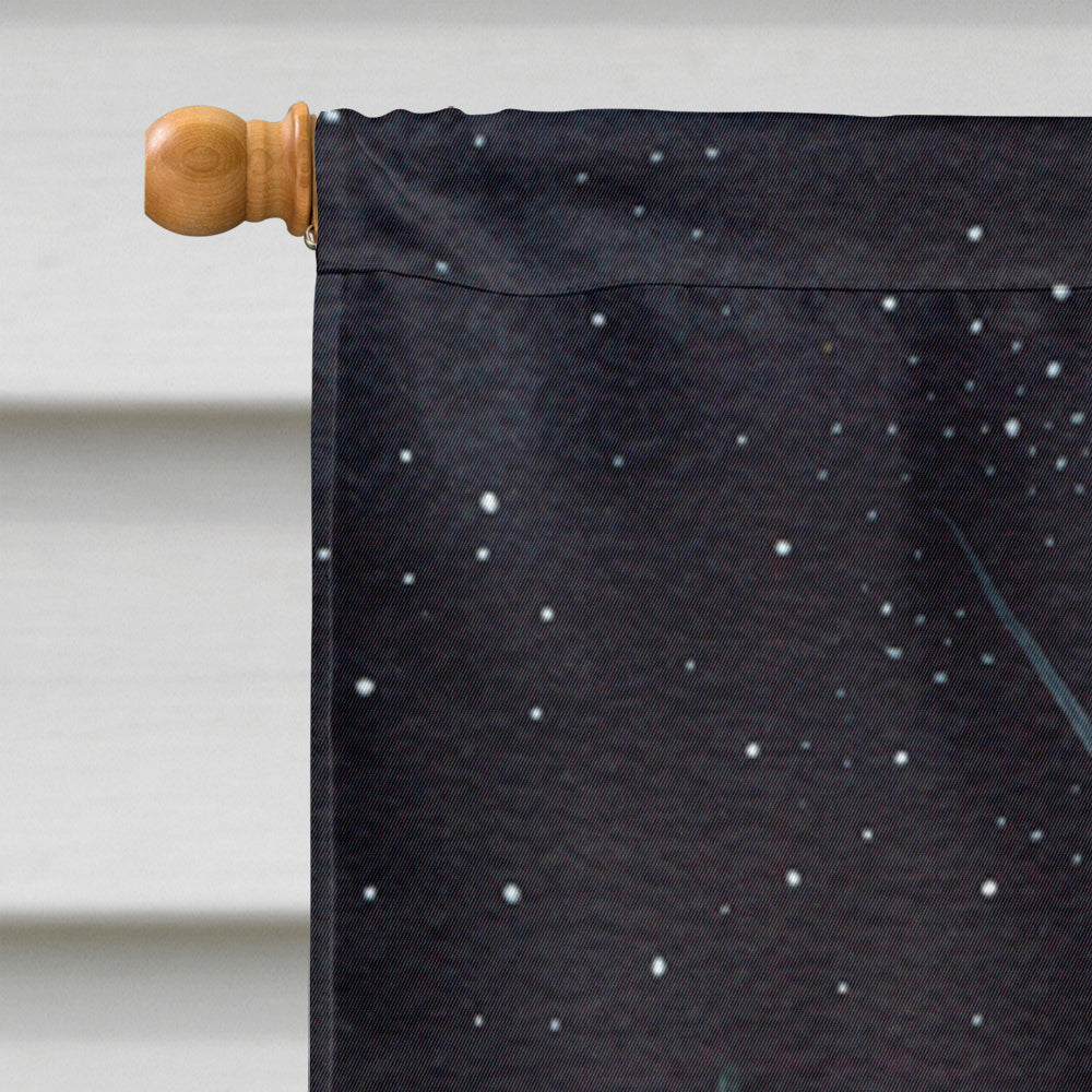 Starry Night Bearded Collie House Flag 28x40 Porch Sleeve Pole Decorative Outside Yard Banner Artwork Wall Hanging, Polyester