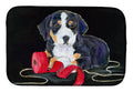Entlebucher Mountain Dog Dish Drying Mat Absorbent Dish Drying Mat Pad for Kitchen Counter Dish Drainer Mat for Countertop, 14 x 21", Multicolor