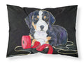 Entlebucher Mountain Dog Standard Pillowcase Lightweight Super Soft Easy Care Decorative Artwork Pillowcase, Standard