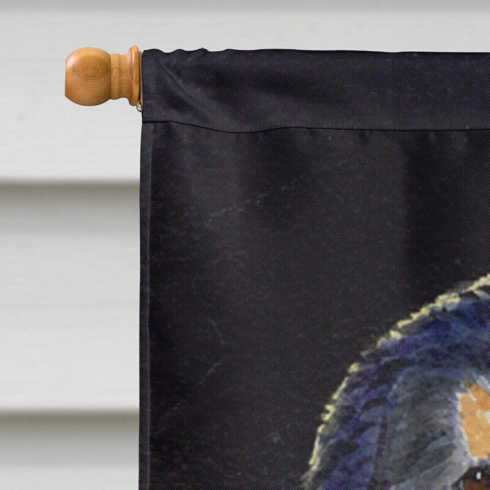 Bernese Mountain Dog House Flag 28x40 Porch Sleeve Pole Decorative Outside Yard Banner Artwork Wall Hanging, Polyester