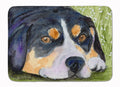 Entlebucher Mountain Dog Memory Foam Kitchen Mat Machine Washable Anti-Fatigue Cushion Comfort Bath or Kitchen Rug