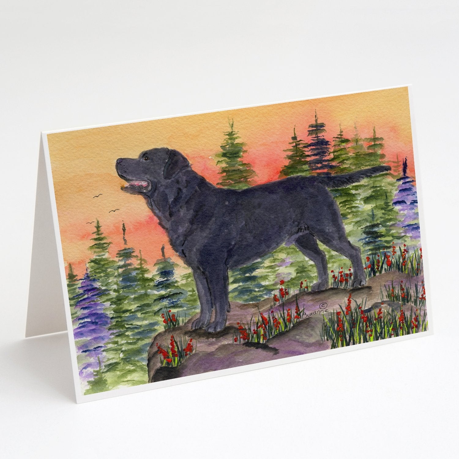 Labrador Greeting Cards Pack of 8 Blank Cards with Envelopes Whimsical A7 Size 5x7
