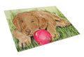 Curly Coated Retriever Cutting Board Tempered Glass Kitchen Cutting Surface, Heat Resistant Chopping, Non-Slip Feet, Food Prep & Serving