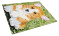 Corgi Cutting Board Tempered Glass Kitchen Cutting Surface, Heat Resistant Chopping, Non-Slip Feet, Food Prep & Serving
