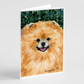 Pomeranian Greeting Cards Pack of 8 Blank Cards with Envelopes Whimsical A7 Size 5x7