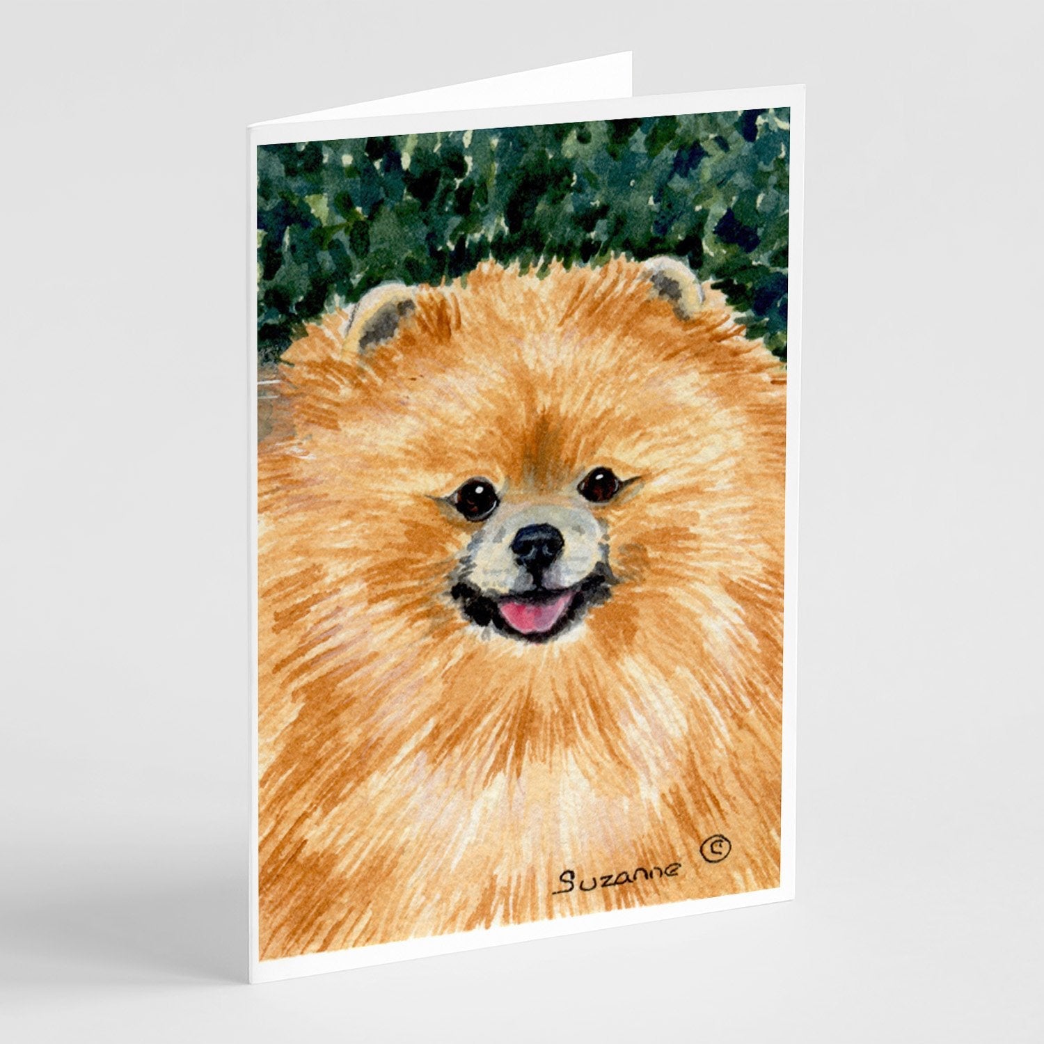 Pomeranian Greeting Cards Pack of 8 Blank Cards with Envelopes Whimsical A7 Size 5x7