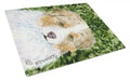 Australian Shepherd Cutting Board Tempered Glass Kitchen Cutting Surface, Heat Resistant Chopping, Non-Slip Feet, Food Prep & Serving